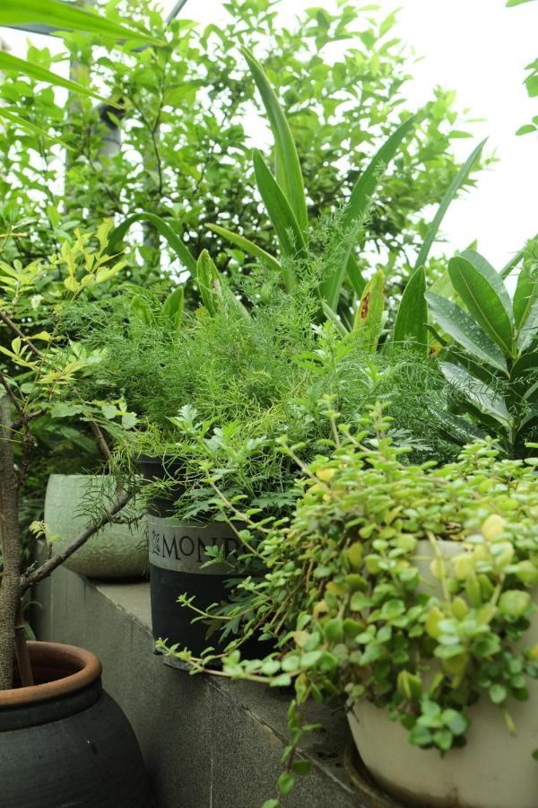 Auntie Lien'S Homestay Hanoi Buitenkant foto