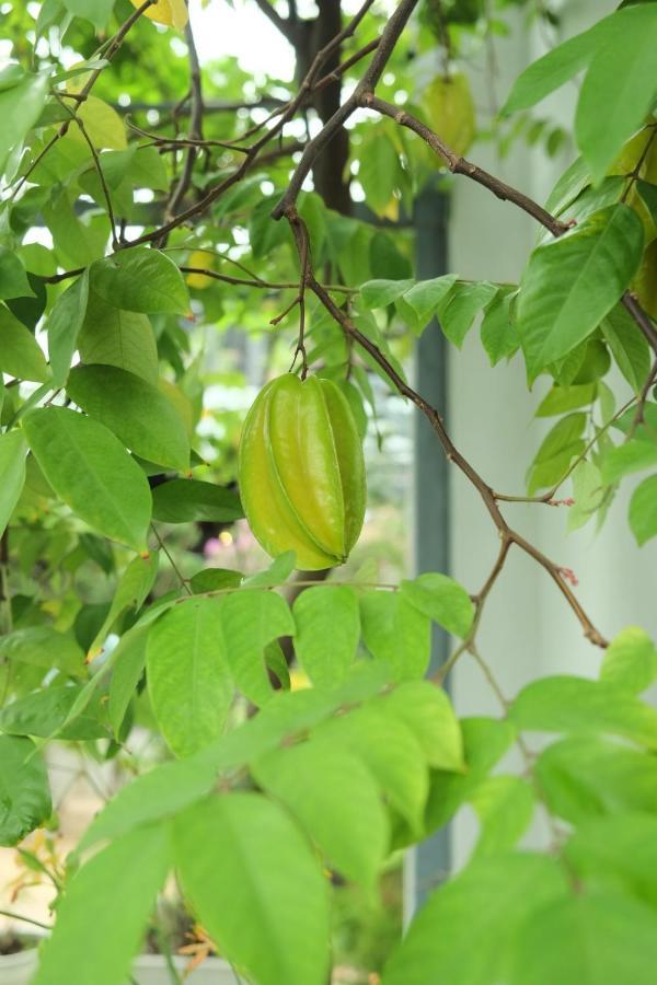 Auntie Lien'S Homestay Hanoi Buitenkant foto